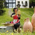 Gastinger Hotel-restaurant Otel 3*