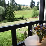 Gastinger Hotel-restaurant Schmiedefeld am Rennsteig