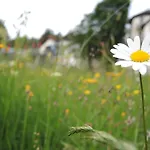 Gastinger Hotel-restaurant