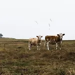 Otel Gastinger Hotel-restaurant