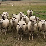 Hotel Gastinger Hotel-restaurant 3*