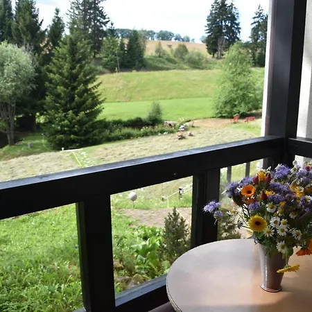 Gastinger Hotel-restaurant Schmiedefeld am Rennsteig