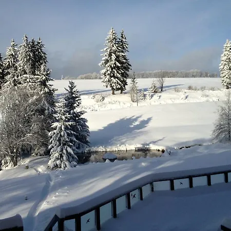 Gastinger Hotel-restaurant Hotel 3*