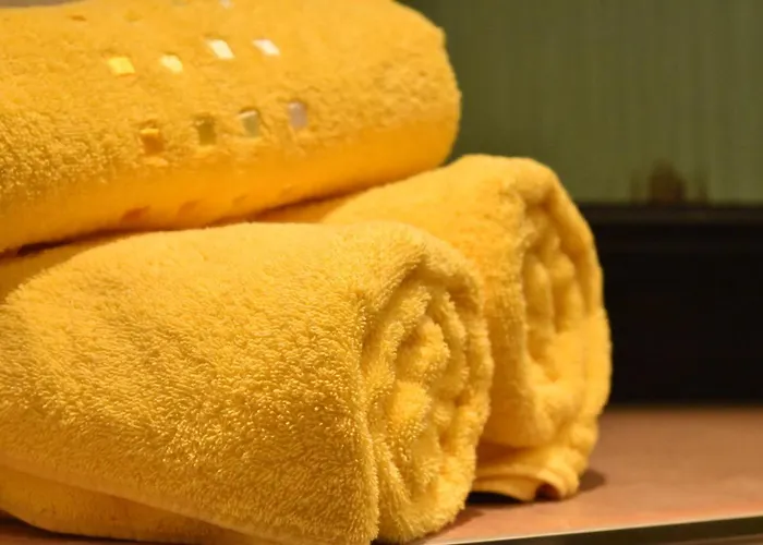 فندق Gastinger Hotel-restaurant