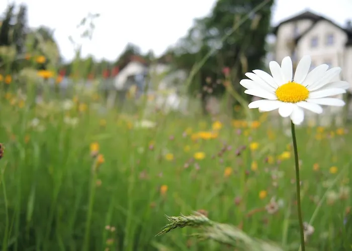 Gastinger Hotel-restaurant