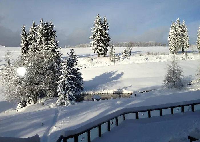 Gastinger Hotel-restaurant فندق 3*