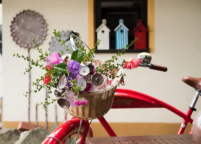 Gastinger Hotel-restaurant Schmiedefeld am Rennsteig