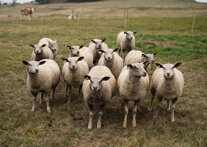 Hotel Gastinger Hotel-restaurant 3*